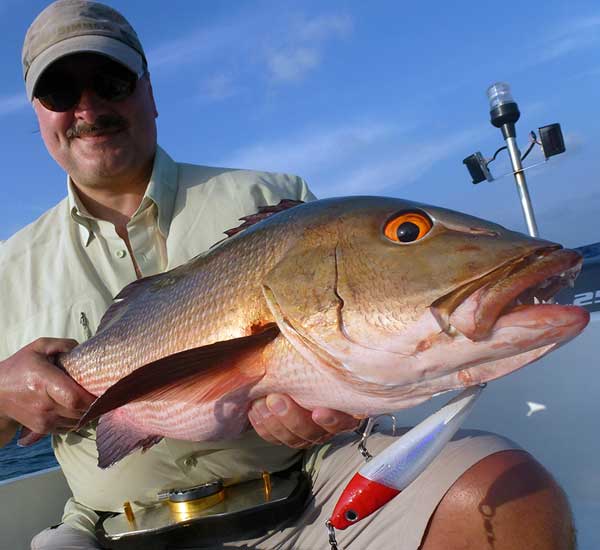 Noch ein großer Bohar Snapper auf Top Water Lure gefangen